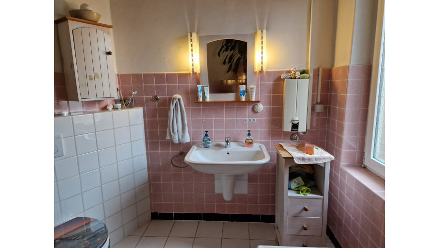 03_Sachtl vorher-500 WT